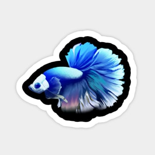 Betta Fish Sticker